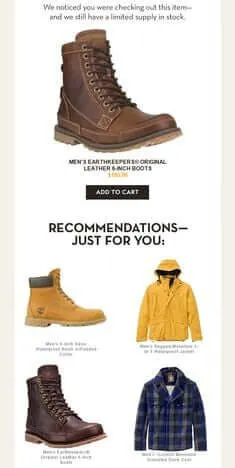 timberland product abandonment email